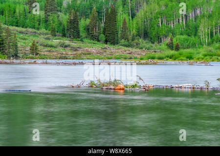 Maroon Bells See bei Sonnenaufgang in Aspen, Colorado während der Blauen Stunde der Dämmerung mit Nahaufnahme der Reflexion Juni 2019 Sommer Stockfoto