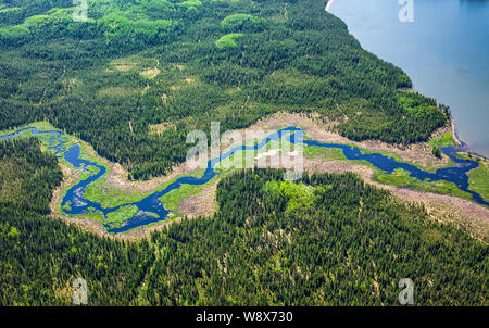 Luftaufnahme von einem Datenstrom in einen kleinen See in der Provinz Alberta borealen Wald in der Nähe von Fort McMurray. Stockfoto