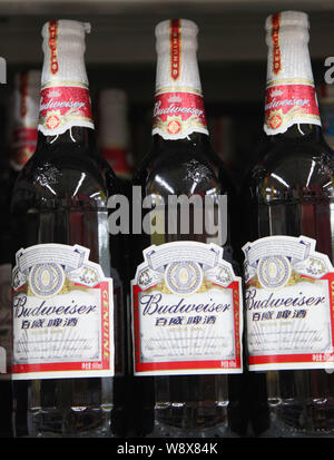 ------ Flaschen Budweiser Bier sind für den Verkauf in einem Supermarkt in Nanjing City, East China Jiangsu Provinz, 30. Juni 2011. In einer Bemühung, establi Stockfoto