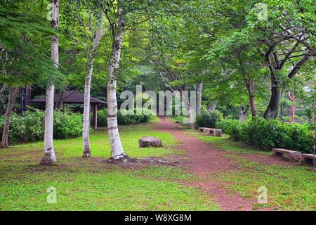 Aussicht auf den Berg Fuji in Japan, einschließlich kawaguchiko Tenjozan Park Wanderweg von der Gondel Beobachtung zum See hinunter. Asien. Stockfoto