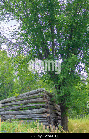 Was ist dieses Log Cabin links ist unter einer Handvoll ähnliche Reste in der Geisterstadt Newfoundout, Ontario, gewährt als Ackerland für zukunftsweisende eingestellt Stockfoto