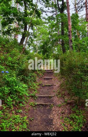 Aussicht auf den Berg Fuji in Japan, einschließlich kawaguchiko Tenjozan Park Wanderweg von der Gondel Beobachtung zum See hinunter. Asien. Stockfoto