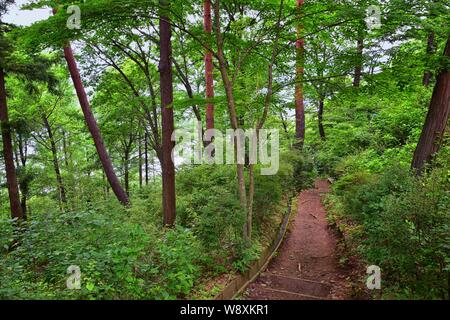 Aussicht auf den Berg Fuji in Japan, einschließlich kawaguchiko Tenjozan Park Wanderweg von der Gondel Beobachtung zum See hinunter. Asien. Stockfoto