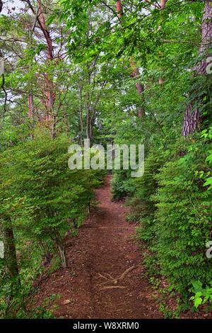 Aussicht auf den Berg Fuji in Japan, einschließlich kawaguchiko Tenjozan Park Wanderweg von der Gondel Beobachtung zum See hinunter. Asien. Stockfoto