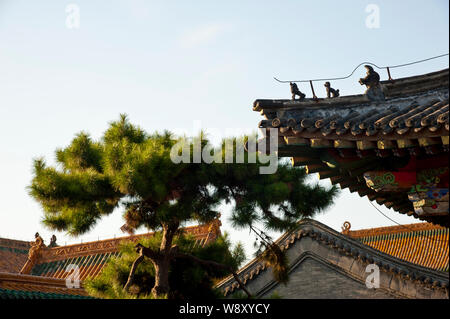 Blick auf den Dächern der Paläste der Mukden Palace, auch als die Shenyang Imperial Palace, in Shenyang City bekannt, im Nordosten Chinas Provinz Liaoning, 4 Sep Stockfoto