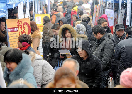 Chinesische Arbeitssuchende Menge ständen auf einer Jobmesse im Schnee in Luoyang City, Central China Provinz Henan, am 9. Februar 2014. Wie das chinesische Neujahrsfest Ja Stockfoto