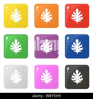 Monstera blatt Icons Set 9 Farben isoliert auf Weiss. Sammlung von glänzenden quadratischen farbigen Buttons. Vector Illustration für jedes Design. Stock Vektor