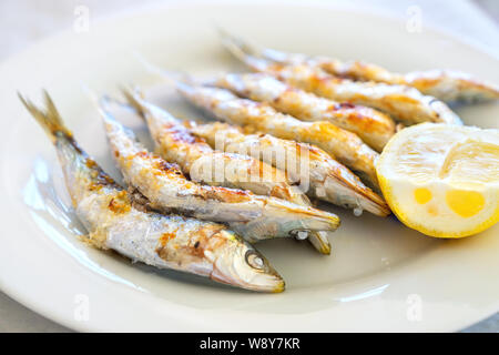 Frisch gegrillten Sardinen serviert mit Zitrone. Torremolinos, Costa del Sol, Andalusien, Spanien Stockfoto