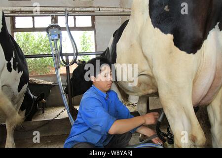 ---- Ein chinesischer Arbeiter Milch einer Kuh an eine Molkerei von Yili Group in Huji Dorf, Haian Grafschaft, Nantong City, East China Jiangsu Provinz, vom 8. Juli 2 Stockfoto