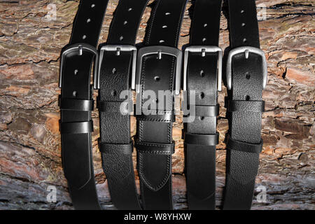 Pinienrinde mit schwarzem Leder Gürtel für Männer fallen Stockfoto