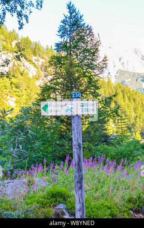 Informationen Zeichen in den Alpen in der Nähe von Chamonix, Frankreich. Übersetzung: Lac Blanc - Lac Blanc, La Fregere Fregere-Seilbahn. Das Vorzeichen gibt Richtungen, Zeit und Kennzeichnung. Hunde verboten. Stockfoto