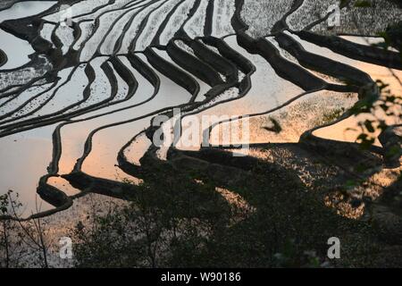 ------ Landschaft von yuanyang Reisterrassen in Yuanyang County, honghe Hani und Yi Autonomen Präfektur, Provinz Yunnan, China, 9. Juli 2012. Yuany Stockfoto