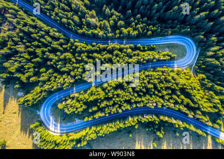 Luftbild des grünen Pinienwald und einem Land serpentinenstraße von einer Drohne über erfasst Stockfoto