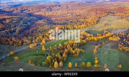 Luftbild einer ländlichen Dorf Straße. Drone Schuß von landwirtschaftlichen Feldern, Wald. Siebenbürgen, Rumänien Stockfoto
