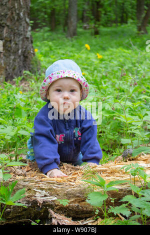 Ein niedliches Baby girl 9 Monate, Spaziergänge durch den Wald und Studien einen umgestürzten Baum. Junge Mädchen in einem blauen Pullover und Panama beim Stöbern in einem Verrottenden Baum, weich Stockfoto