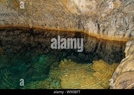 Anahulu Höhle, die unterirdische Swimmingpool, Tonga Island Geologische Sehenswürdigkeiten.. Stockfoto