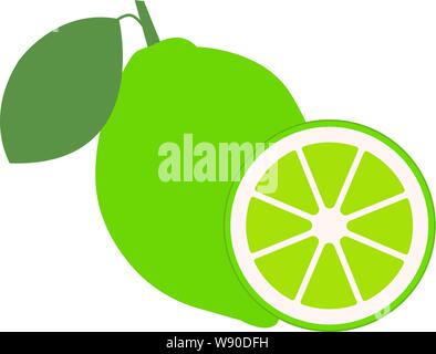 Kalk mit grünen Blättern, slice Zitrusfrüchte auf weißem Hintergrund. Vector lieferbar Abbildung. Vector Illustration Stock Vektor