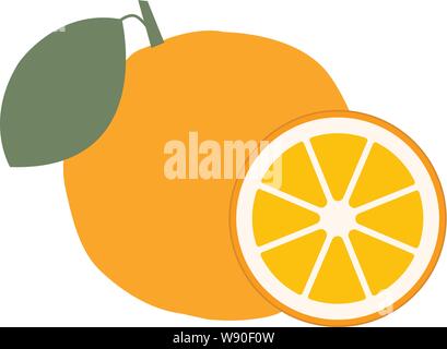 Orange mit Blättern und Scheiben von Orangen. Vector lieferbar Abbildung von Orangen. Vector Illustration Stock Vektor