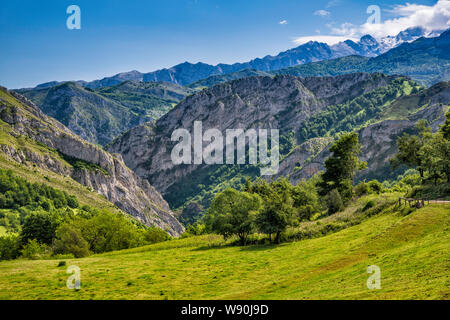 Calmayor Crag, Desfiladero de Los Beyos hinter, El Cornion massiv in der Entfernung, in der Nähe der Ortschaft Viego, Picos de Europa, Ponga Naturpark, Asturien, Spanien Stockfoto