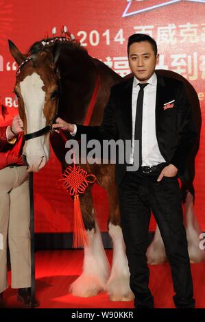 Chinesische Schauspieler Liu Ye stellt mit einem Budweiser Clydesdales Pferd während einer Pressekonferenz im kommenden Jahr des Pferdes in der chinesischen Lunar Kalende r zu feiern. Stockfoto