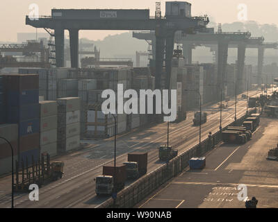 Hafen von Singapur Container Cargo-terminal, geführt von PSA, einer der verkehrsreichsten Versand Terminals in der Welt Stockfoto