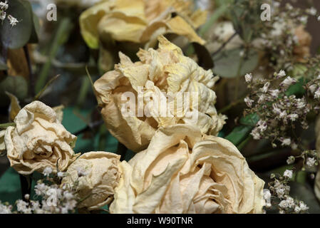 Alten Ausgetrockneten verfallende Hochzeit Blumen, creme Rosen Stockfoto