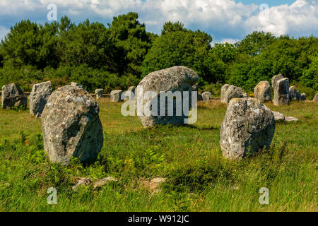 Carnac. Standing Stones, Menhire in der Zeile. Morbihan. Bretagne. Frankreich Stockfoto