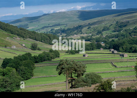 Von oben nach unten Schauen Swaledale Thwaite in den Yorkshire Dales National Park, während haytime im Sommer. North Yorkshire, UK. Stockfoto