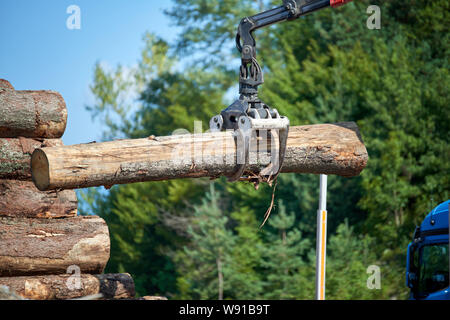 Schweres heben die Kranverladung schneiden Holz- Protokolle Stockfoto