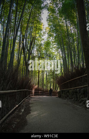 Kyoto. Japan - April, 2019: Am frühen Morgen, Menschen auf dem Weg durch die sagano Bambuswald, Arashiyama, Japan. Stockfoto