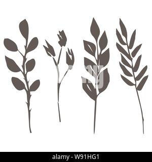 Satz von Vektorgrafiken. Vier verschiedene Zweige. Stock Vektor