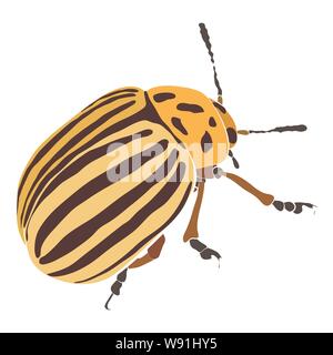 Vector Illustration der gelbe Käfer mit schwarzen Streifen und Flecken. Coloradokäfer Stock Vektor