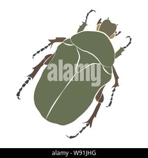 Vector Illustration des grünen Käfer. Cryptocephalus sericeus Stock Vektor