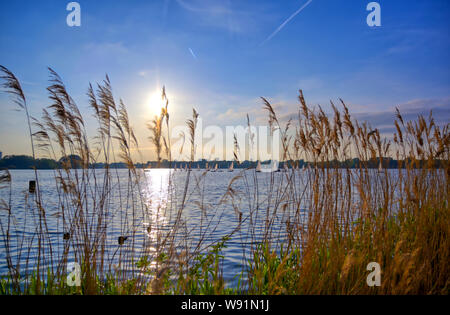 Blick entlang der Kralingse Plas See bei Sonnenuntergang in Rotterdam in den Niederlanden. Stockfoto