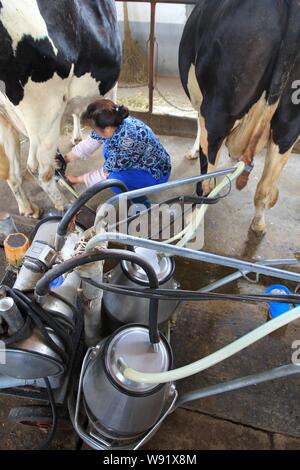 ---- Ein chinesischer Arbeiter Milch einer Kuh an eine Kuh Bauernhof in Nantong City, East China Jiangsu Provinz, vom 8. Juli 2010. Chinese State-Konglomerate sind Eigentum Stockfoto