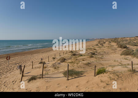 Wunderschöne Sandstrände und Sanddünen in der Nähe von Guardamar de Segura Costa Blanca Spanien mit Blick auf Torre La Mata Stockfoto