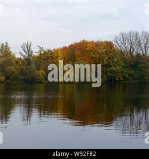 Bislicher Insel/Bislicher Insel, Niederrhein, NRW, Deutschland, Rückstau im Herbst. Stockfoto