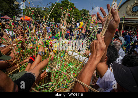 Yogyakarta, Indonesien. 12 Aug, 2019. Indonesische drängeln für die 'Gunungan', ein Modell von einem Berg aus klebrigem Reis, Süßigkeiten, verschiedene Lebensmittel, Obst und Gemüse aus Kraton Palace während Grebeg Ritual als Teil der Feiern zum Eid al-Adha, hat keine bestimmte Zeitdauer an kauman Große Moschee in Yogyakarta. Muslime auf der ganzen Welt feiern das Eid al-Adha, hat keine bestimmte Zeitdauer oder Festival der Opfer, der das Ende der jährlichen Haj Pilgrimage markiert. (Foto durch Rizqullah Hamiid Saputra/Pacific Press) Quelle: Pacific Press Agency/Alamy leben Nachrichten Stockfoto