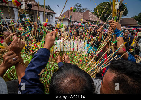 Yogyakarta, Indonesien. 12 Aug, 2019. Indonesische drängeln für die 'Gunungan', ein Modell von einem Berg aus klebrigem Reis, Süßigkeiten, verschiedene Lebensmittel, Obst und Gemüse aus Kraton Palace während Grebeg Ritual als Teil der Feiern zum Eid al-Adha, hat keine bestimmte Zeitdauer an kauman Große Moschee in Yogyakarta. Muslime auf der ganzen Welt feiern das Eid al-Adha, hat keine bestimmte Zeitdauer oder Festival der Opfer, der das Ende der jährlichen Haj Pilgrimage markiert. (Foto durch Rizqullah Hamiid Saputra/Pacific Press) Quelle: Pacific Press Agency/Alamy leben Nachrichten Stockfoto