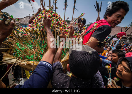 Yogyakarta, Indonesien. 12 Aug, 2019. Indonesische drängeln für die 'Gunungan', ein Modell von einem Berg aus klebrigem Reis, Süßigkeiten, verschiedene Lebensmittel, Obst und Gemüse aus Kraton Palace während Grebeg Ritual als Teil der Feiern zum Eid al-Adha, hat keine bestimmte Zeitdauer an kauman Große Moschee in Yogyakarta. Muslime auf der ganzen Welt feiern das Eid al-Adha, hat keine bestimmte Zeitdauer oder Festival der Opfer, der das Ende der jährlichen Haj Pilgrimage markiert. (Foto durch Rizqullah Hamiid Saputra/Pacific Press) Quelle: Pacific Press Agency/Alamy leben Nachrichten Stockfoto