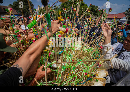 Yogyakarta, Indonesien. 12 Aug, 2019. Indonesische drängeln für die 'Gunungan', ein Modell von einem Berg aus klebrigem Reis, Süßigkeiten, verschiedene Lebensmittel, Obst und Gemüse aus Kraton Palace während Grebeg Ritual als Teil der Feiern zum Eid al-Adha, hat keine bestimmte Zeitdauer an kauman Große Moschee in Yogyakarta. Muslime auf der ganzen Welt feiern das Eid al-Adha, hat keine bestimmte Zeitdauer oder Festival der Opfer, der das Ende der jährlichen Haj Pilgrimage markiert. (Foto durch Rizqullah Hamiid Saputra/Pacific Press) Quelle: Pacific Press Agency/Alamy leben Nachrichten Stockfoto