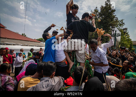 Yogyakarta, Indonesien. 12 Aug, 2019. Indonesische drängeln für die 'Gunungan', ein Modell von einem Berg aus klebrigem Reis, Süßigkeiten, verschiedene Lebensmittel, Obst und Gemüse aus Kraton Palace während Grebeg Ritual als Teil der Feiern zum Eid al-Adha, hat keine bestimmte Zeitdauer an kauman Große Moschee in Yogyakarta. Muslime auf der ganzen Welt feiern das Eid al-Adha, hat keine bestimmte Zeitdauer oder Festival der Opfer, der das Ende der jährlichen Haj Pilgrimage markiert. (Foto durch Rizqullah Hamiid Saputra/Pacific Press) Quelle: Pacific Press Agency/Alamy leben Nachrichten Stockfoto