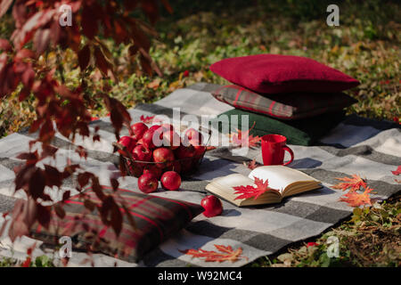 Herbst warme Tage. Indian Summer. Picknick im Garten - Decke und Kissen von Grau, Burgund und Grün Farbe auf dem Hintergrund der Blätter im Herbst. Sele Stockfoto