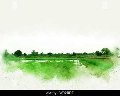 Abstrakte farbenfrohe schöne grüne Landschaft und Baum in Morgen in Thailand auf Aquarell illustration Malerei Hintergrund. Stockfoto