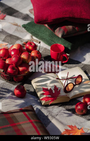 Herbst warme Tage. Indian Summer. Picknick im Garten - Decke und Kissen von Grau, Burgund und Grün Farbe auf dem Hintergrund der Blätter im Herbst. Sele Stockfoto