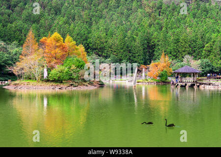 Mingchi Wald Naherholungsgebiet in Yilan, Taiwan Stockfoto