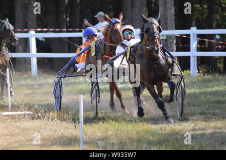 August. 11. 2019 Hippodrom ein Sault (im Süden von Frankreich, das einzige Pferderennen im Jahr). Stockfoto