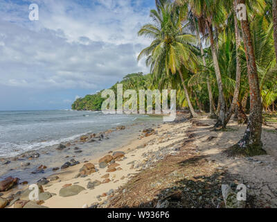 Insel Bastimentos, Bocas del Toro, Panama - 18. März 2017: einsamer Strand mit Felsen am Ufer und Palmen unter einem bewölkten Himmel Stockfoto