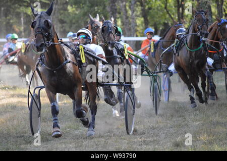 August. 11. 2019 Hippodrom ein Sault (im Süden von Frankreich, das einzige Pferderennen im Jahr). Stockfoto