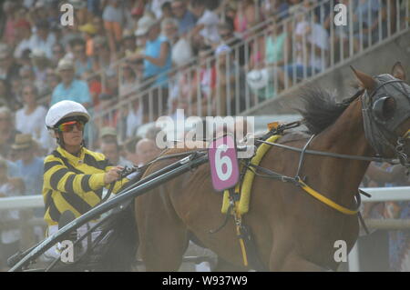 August. 11. 2019 Hippodrom ein Sault (im Süden von Frankreich, das einzige Pferderennen im Jahr). Stockfoto